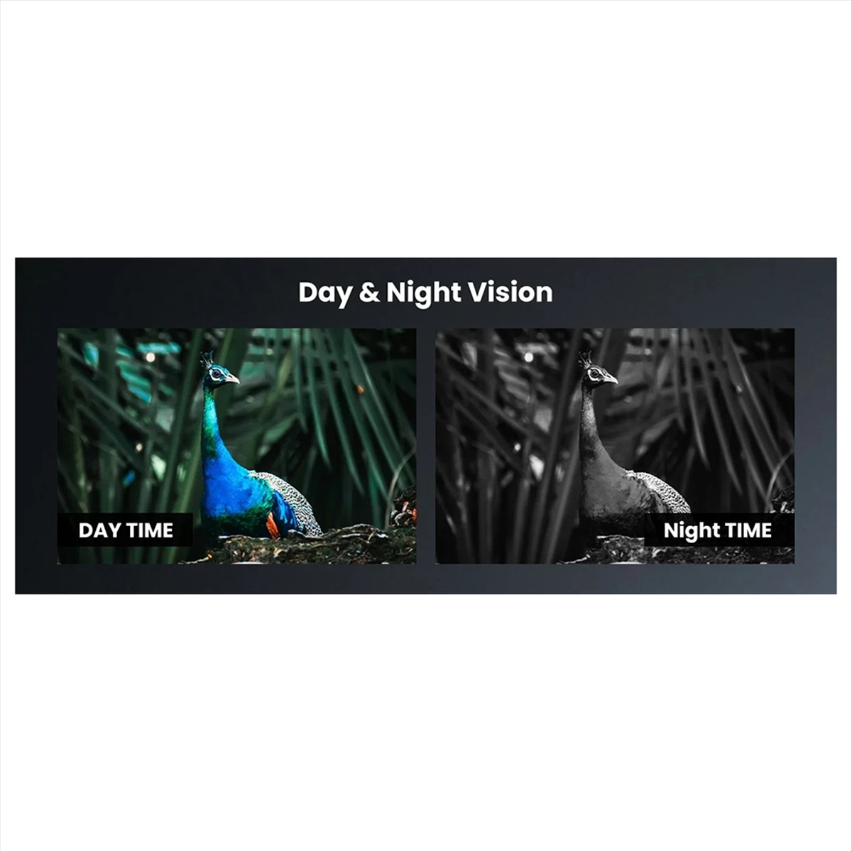 Night Vision Scope For Crossbow - Y60A جديد - منظار رؤية ليلية