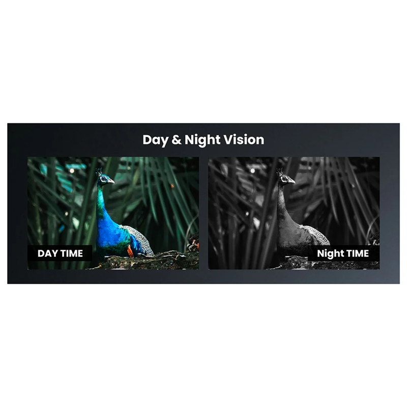 -نطاق الرؤية الليلية A95Z لإضا - مراجعة Night Vision Scope For Crossbow وسعره