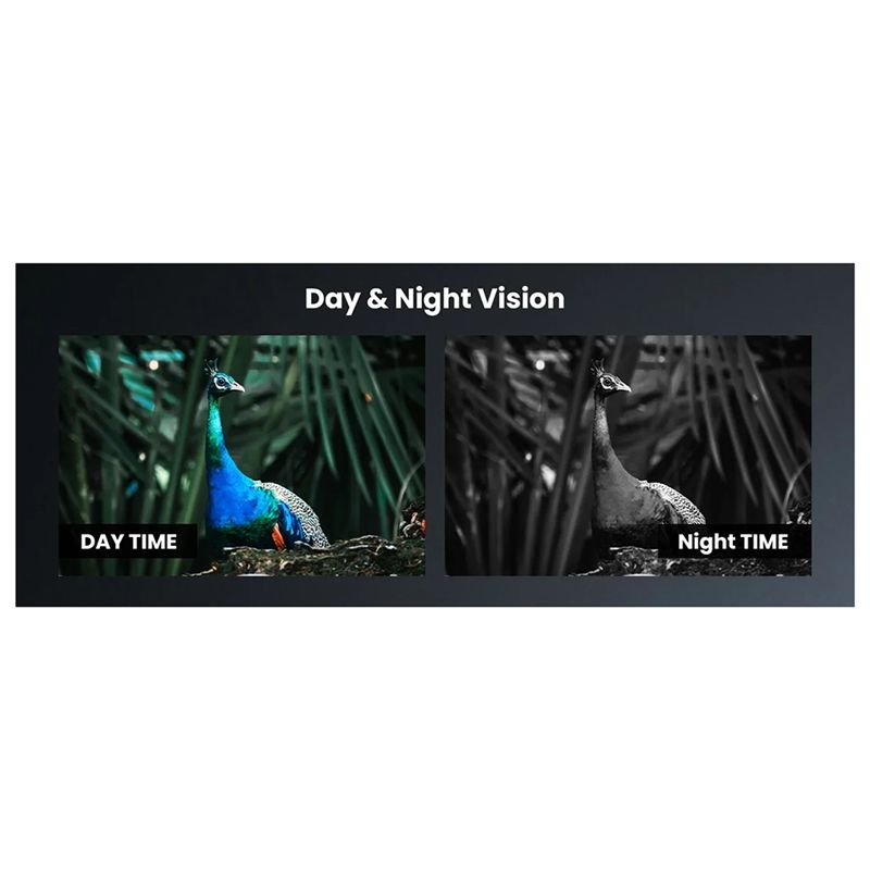 منظار رؤية ليلية T22C، مزود بم - مراجعة Night Vision Scope For Crossbow وسعره